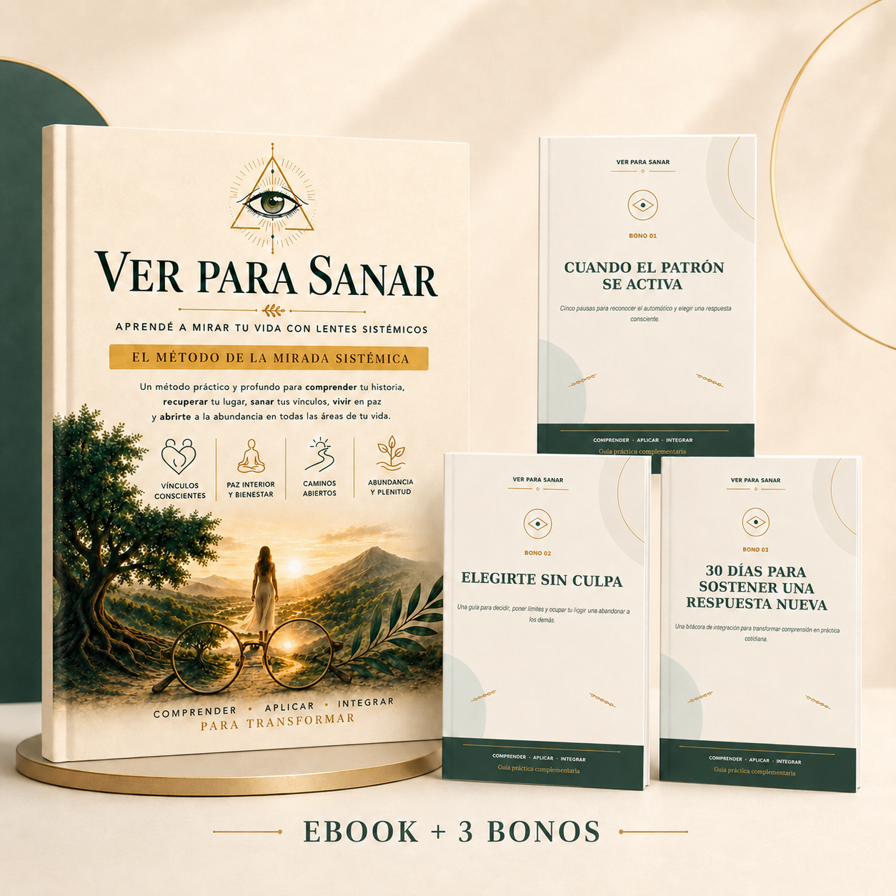 Ver para Sanar - Ebook + 3 bonos